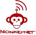 Monkey Net Responsable de Ventas