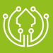 logo-ironchip